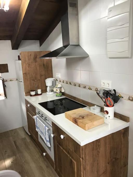 Apartamento Rustico En El Valle De Trapaga La Arboleda Zugaztieta Εξωτερικό φωτογραφία