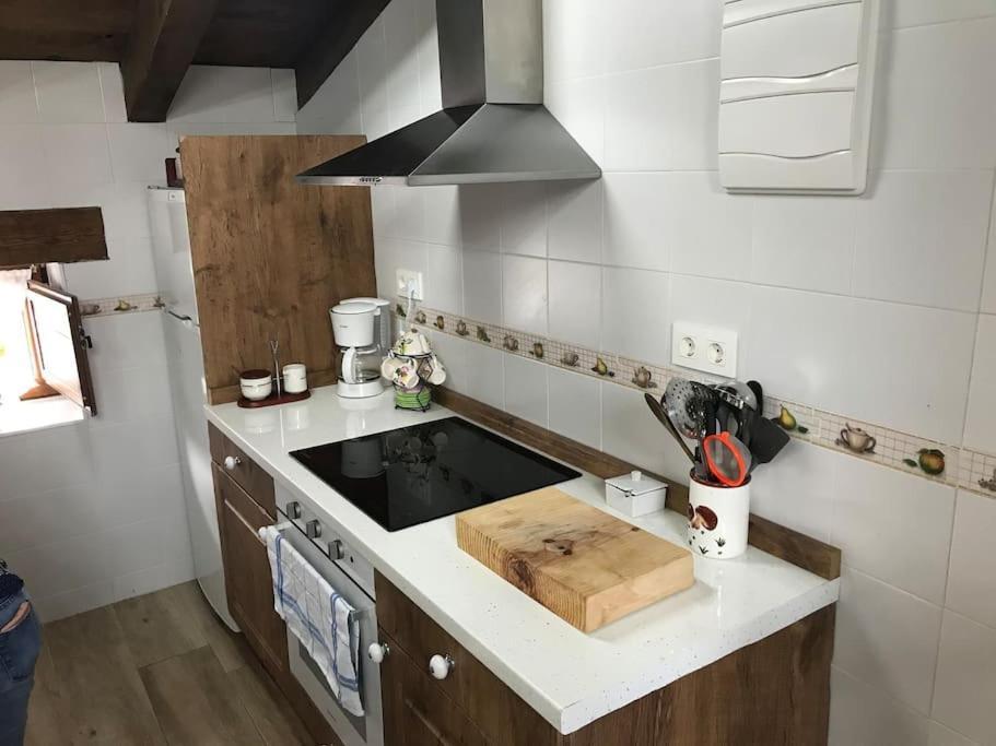 Apartamento Rustico En El Valle De Trapaga La Arboleda Zugaztieta Εξωτερικό φωτογραφία